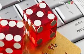 Вход на официальный сайт Kaktuz Casino